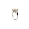 Image 5 : Platinum Fancy Yellow Diamond Ring