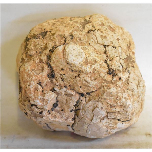 SAUDI ARABIAN DESERT FOSSIL SEA URCHIN & CRYSTALS