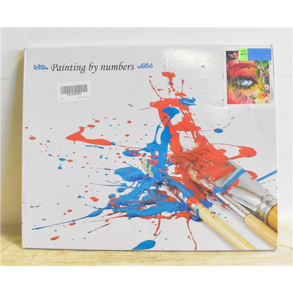 NEW PAINTING BY NUMBERS 40 X 50CM NATURES EYE