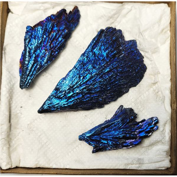 5)  LOT OF 3 BLUE/PURPLE AURA FLAME FEATHER