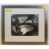 Image 1 : 1981 FRAMED ORIGINAL PHOTOGRAPH "STREPTOCARPUS #3