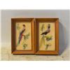 Image 1 : 2 ANTIQUE REAL FEATHER PICTURES (MADE IN MEXICO)