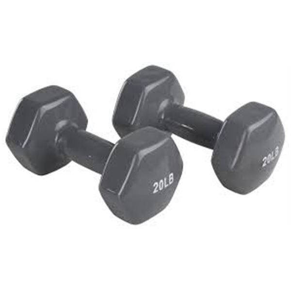 NEW PAIR OF 20LBS GREY DUMBBELLS
