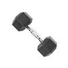 Image 1 : NEW CAP DUMBBELL 20LB RUBBER COATED HEX