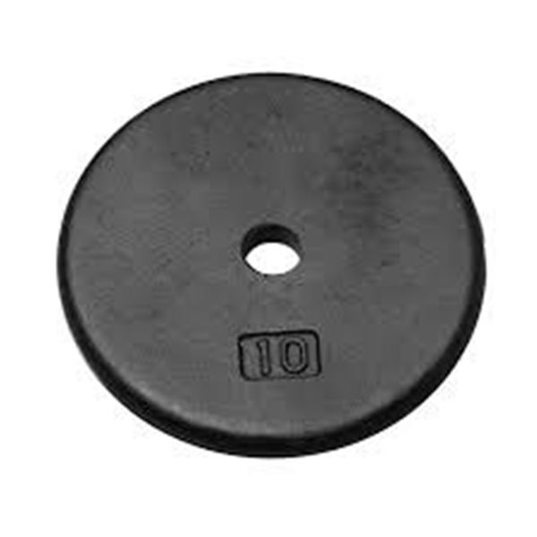 NEW 10LB WEIGHT PLATE