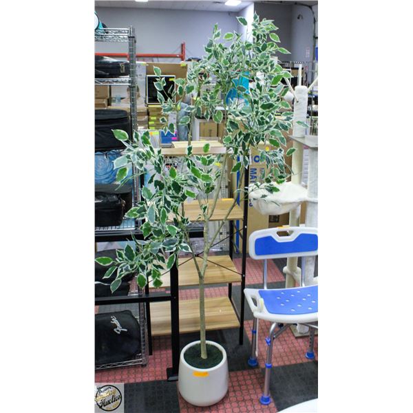 NEW ASSEMBLED ARTIFICIAL 7 FEET FICUS TREE