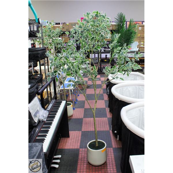 NEW ASSEMBLED ARTIFICIAL 7 FEET FICUS TREE
