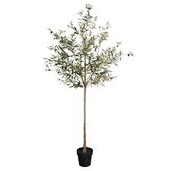 BRAND NEW SAKSUN 7FT POTTED PLANT OLIVE TREE