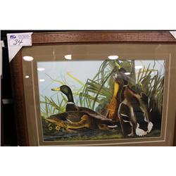 Framed Print Ducks