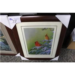 Framed Print Cardinals