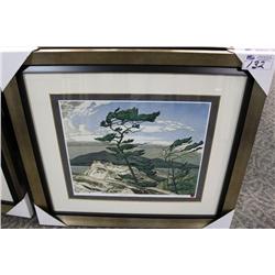 Framed Limited Edition Print 467/795