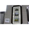 Image 1 : Framed Triple  Limited Prints