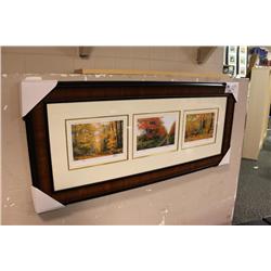3 Framed Limited Edition Prints