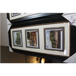 Framed Limited Collection By Tom Thomson