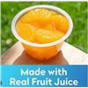 Image 1 : Dole Mandarin Oranges in Fruit Juice 20-Cup Pack