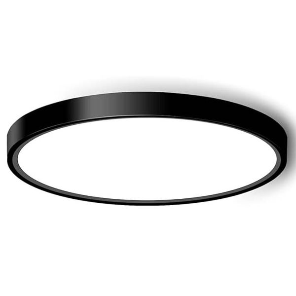 LED Flush Mount Ceiling Light, 300mm Diameter, 100-240VAC, Black