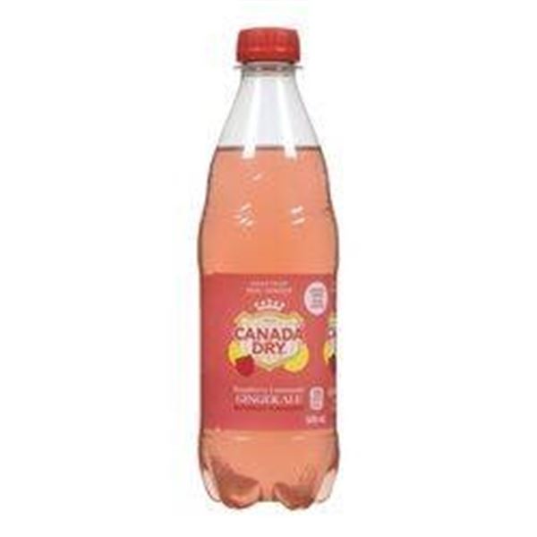 Canada Dry Raspberry Lemonade Ginger Ale 24 x 500 mL Bottles