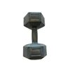 Image 1 : E360 Endurance Hex Rubber Dumbbell 15LB Set of 2
