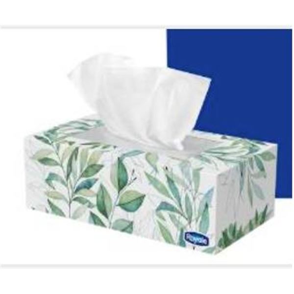 Royale 18 Boxes of 2-Ply Facial Tissues