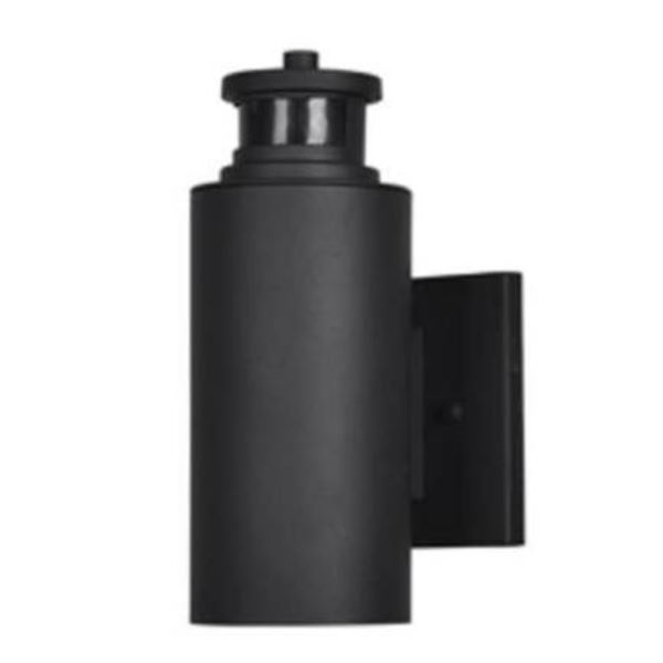 Good Earth Lighting Motion Activated Outdoor Wall Light, Matte Black Finish