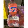 Image 2 : Chubby Bubble Gum Soft Drink 24 x 250ml Bottles