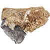 Image 2 : MEXICO, Mexico City, clump of one cob 8 reales in chunk of coral, Philip IV, assayer not visible.