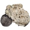 Image 2 : MEXICO, Mexico City, clump of one cob 4 reales and an 8 reales fragment in chunk of coral, Philip IV