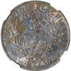 Image 2 : CHILE, Santiago, peso, 1853, NGC Shipwreck Effect (SS Central America Shipwreck Label), ex-Pascual E