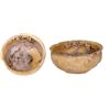 Image 1 : Glazed ceramic bowl with wormy encrustation, ex-pirate ship Golden Fleece (1686).