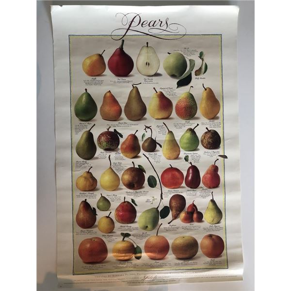 Lithographic Pear Poster