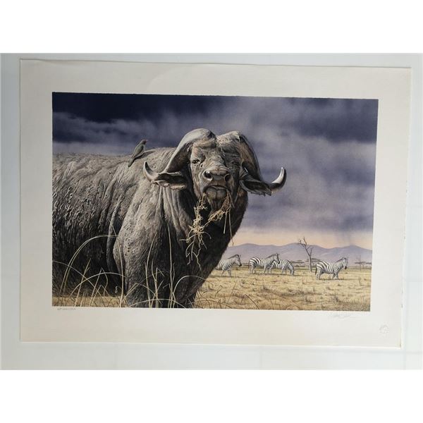 African Buffalo Print