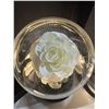 Image 3 : Forever Roses Set of Two