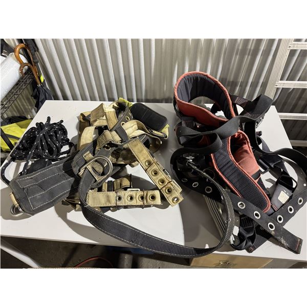Two high rope harnesses and pully system