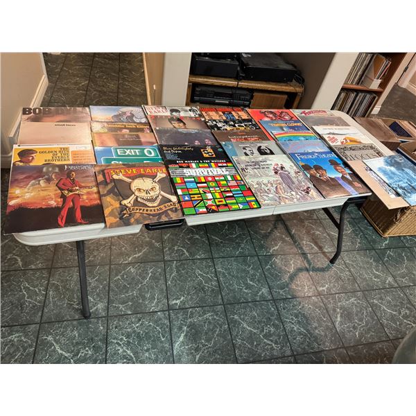 Assorted record, Steve Earle, Bob Marley, Moody, blues and other