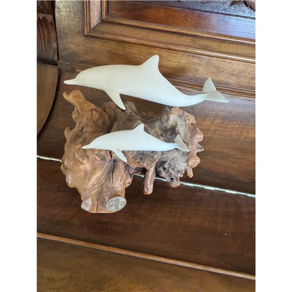 John Perry Dolphins.