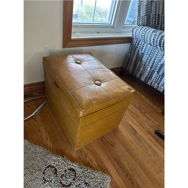 Storage record trunk