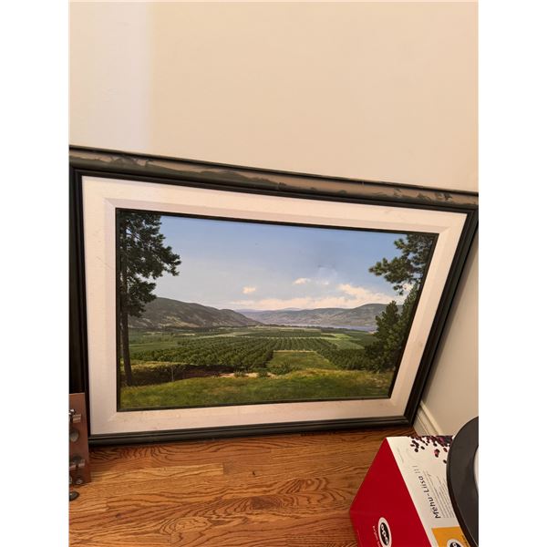 Large wall hanging Okanagan