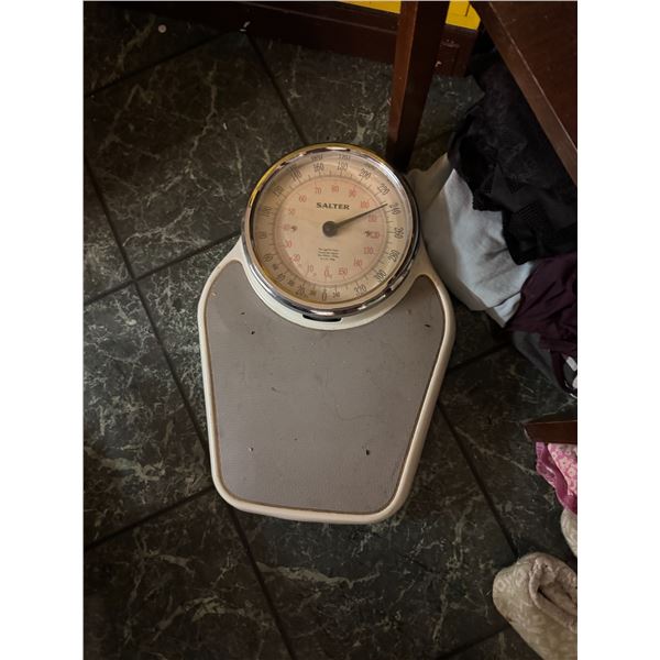 Salter scale