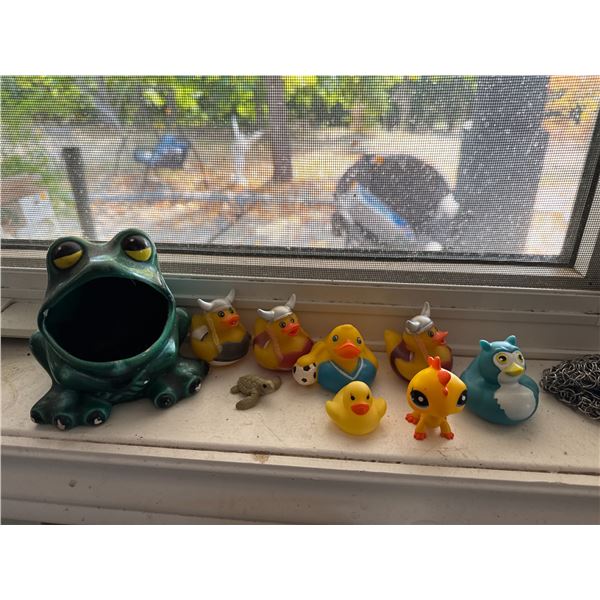 Kitchen, frog, and ducks