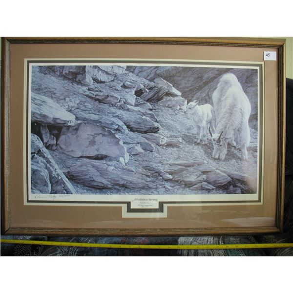 1997 DUCKS UNLIMITED FRAMED PRINT - "ATHABASCA SPRING" by Darren Haley - 32  X 23  inches