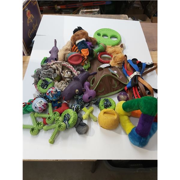 Box dog toys & leads