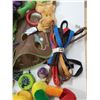 Image 2 : Box dog toys & leads