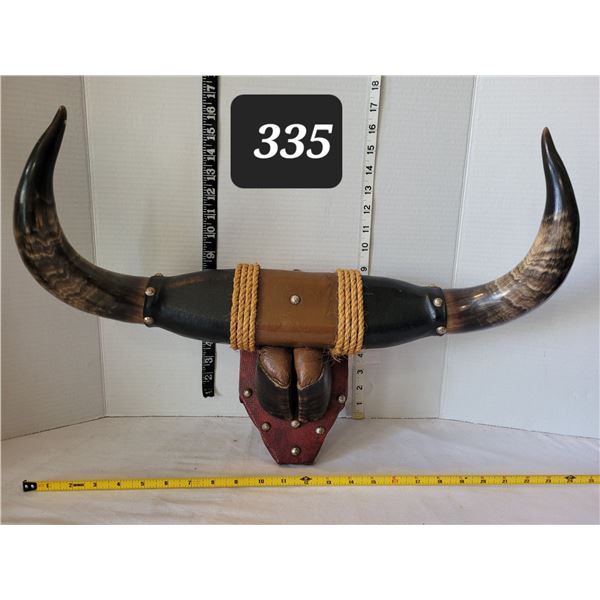 Mounted Mexican bull horns & hoofs.