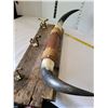 Image 3 : Bull horns on barn board coat rack.