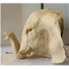 Image 3 : Large original paper mache elephant head.wall decor, handmade in Haiti.