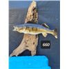 Image 1 : Large Taxidermy walleye mounted on driftwood.