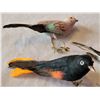 Image 2 : Vintage spun cotton & feathered birds.