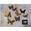 Image 1 : Vintage craft butterflies.