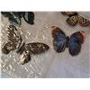 Image 2 : Vintage craft butterflies.