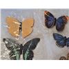 Image 4 : Vintage craft butterflies.
